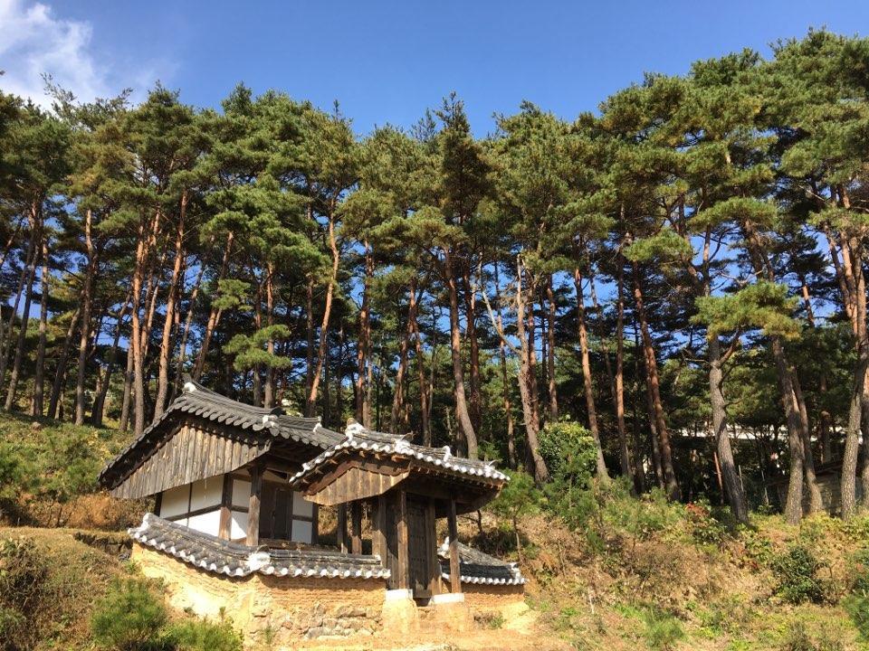 Hotel Korean Traditional House - Chungnokdang Boseong Esterno foto