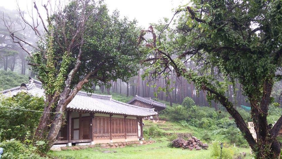 Hotel Korean Traditional House - Chungnokdang Boseong Esterno foto